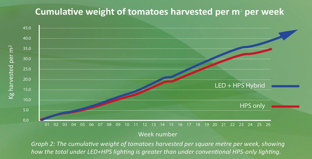 Koot-Tomatoes-Graph